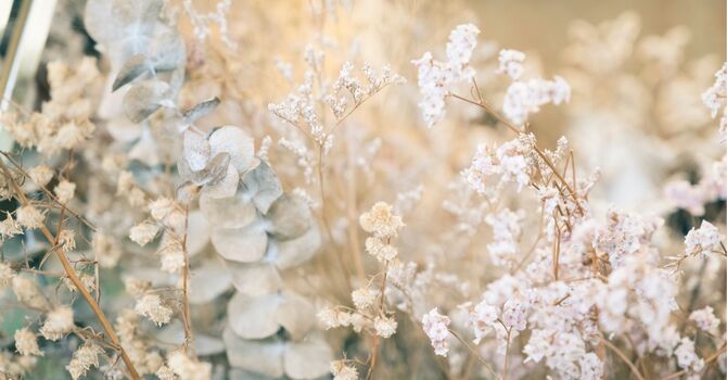 Medically Assisted Weight Loss